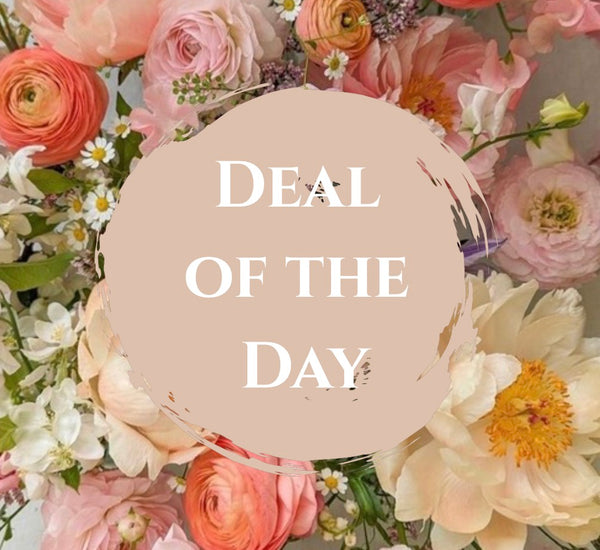 Deal of the Day